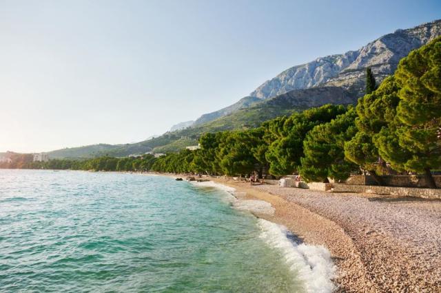 Alga Bluesun hotel - Tučepi -  - Chorvatsko