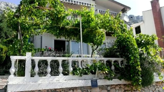 Bilela vila - apartmány v soukromí - Pisak -  - Chorvatsko