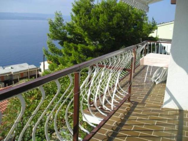Bilela vila - apartmány v soukromí - apartmán A2 - Pisak -  - C