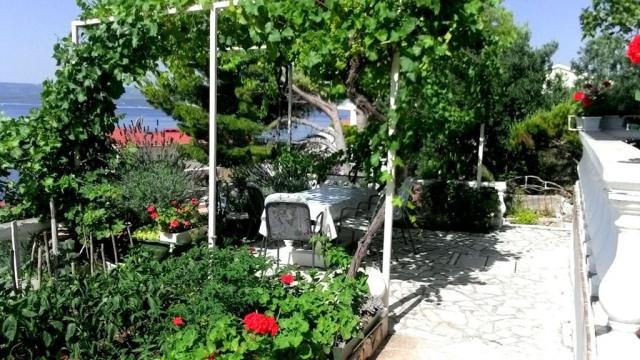Bilela vila - apartmány v soukromí - Pisak -  - Chorvatsko