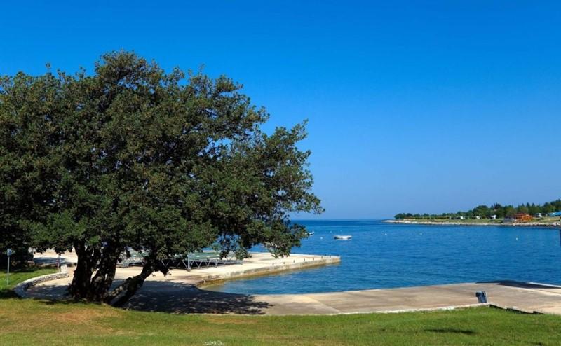 Park Umag Holiday kemp mobil home - Umag - - Chorvatsko