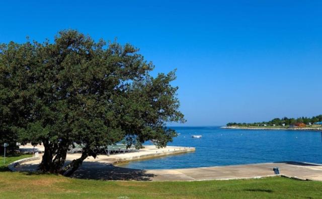 Park Umag Holiday kemp mobil home - Umag -  - Chorvatsko