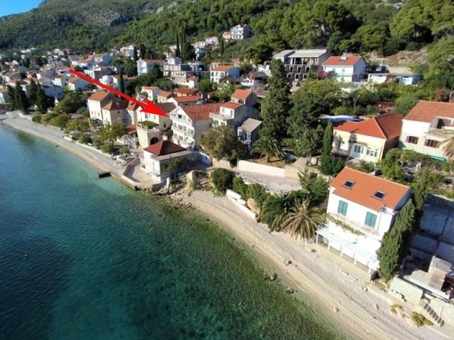 Marušič vila - apartmány - Brist -   - Chorvatsko