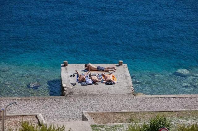 Issa hotel - Vis (ostrov Vis) -  - Chorvatsko
