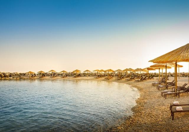 Maestral Aminess Vival Hotel - Novigrad -  - Chorvatsko