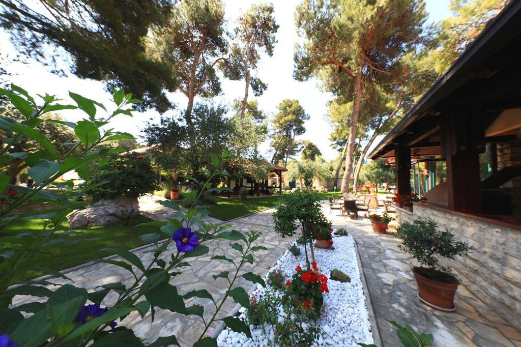 San Antonio Mediteransko Selo - Zahrada kolem bazénu - Biograd