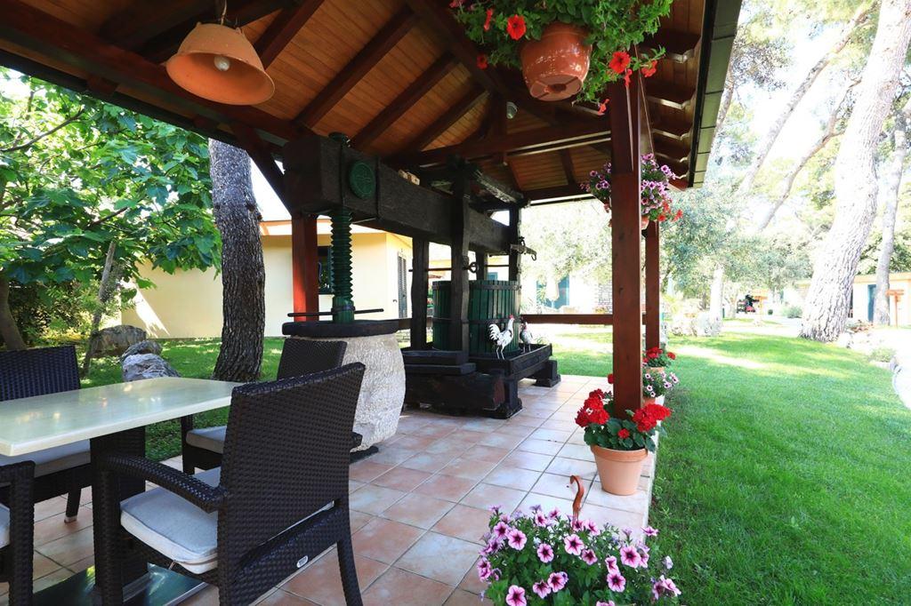 San Antonio Mediteransko Selo - Zahrada kolem bazénu - Biograd