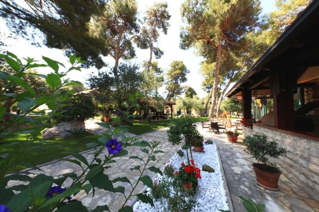 San Antonio Mediteransko Selo - Zahrada kolem bazénu - Biograd 