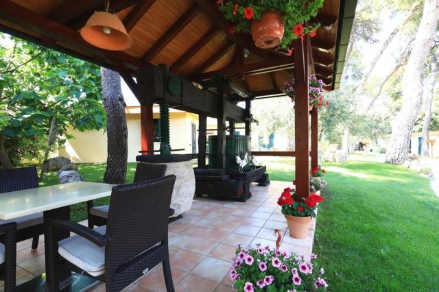 San Antonio Mediteransko Selo - Zahrada kolem bazénu - Biograd 