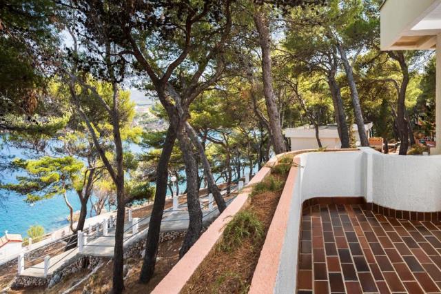 Fontana Resort - apartmány Comfort - apartmán pro 6 osob - Jels