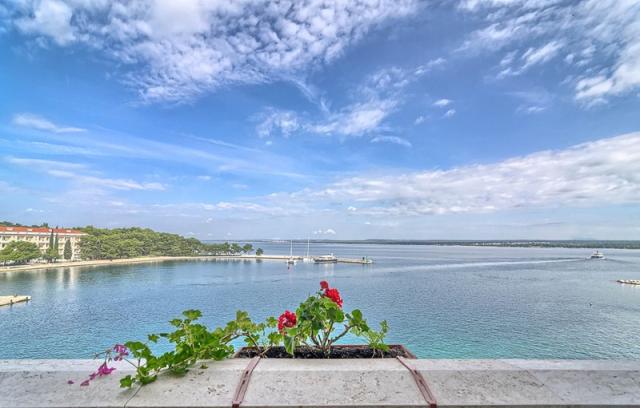 Neptun hotel - Ostrov Veliki Brijun -  - Chorvatsko