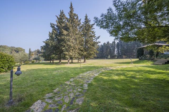Neptun hotel - Ostrov Veliki Brijun -  - Chorvatsko
