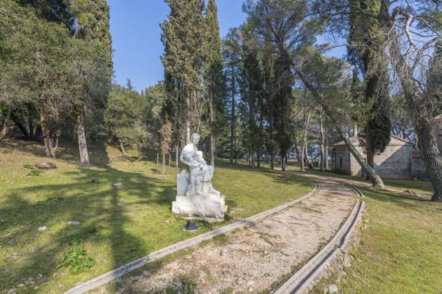 Neptun hotel - Ostrov Veliki Brijun -  - Chorvatsko