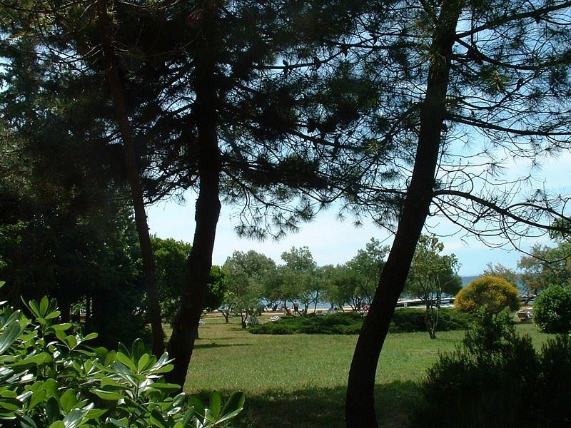 Donat Falkensteiner hotel - Zadar - - Chorvatsko