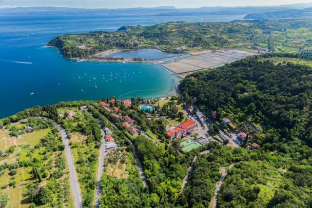 Salinera Resort - Salinera Premium apartmány - Strunjan -  - Sl
