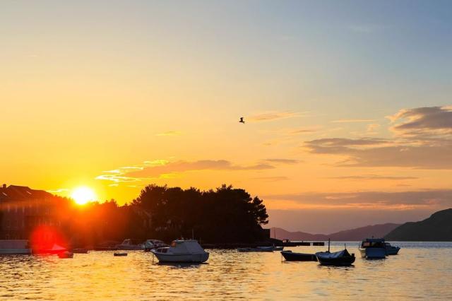 TUI Blue Kalamota Island Resort - Koločep (ostrov Koločep) -  -