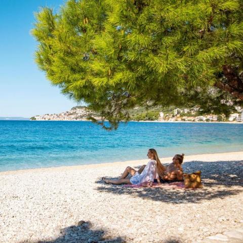 TUI Blue Adriatic Beach Resort - Živogošće -  - Chorvatsko