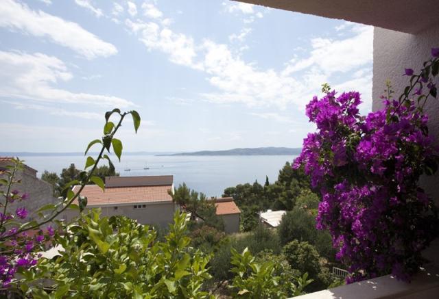 Skalinada vila - Baška Voda -  - Chorvatsko