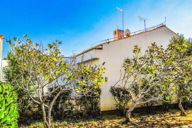 Nevenka apartmán - Gajac (ostrov Pag) -  - Chorvatsko