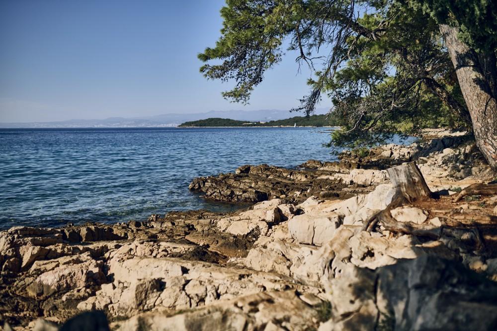Malinska Green apartmány - Malinska (ostrov Krk) - - Chorvats