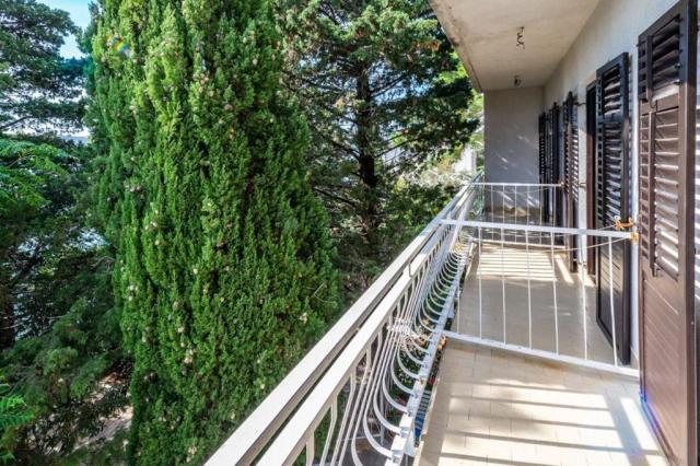 Srecko apartmán - apartmán pro 10 osob - Stara Novalja (ostrov 