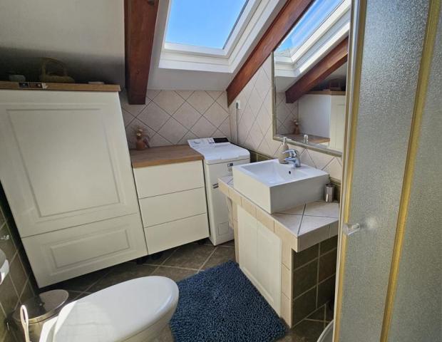 Viktorija vila - apartmán pro 3 osoby 1/2+1 č. 4 (podkroví) - S