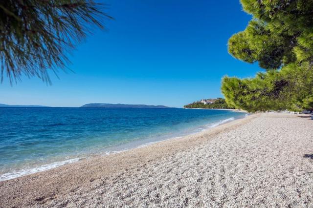 Bluesun Maslinik depandance - Tučepi -  - Chorvatsko