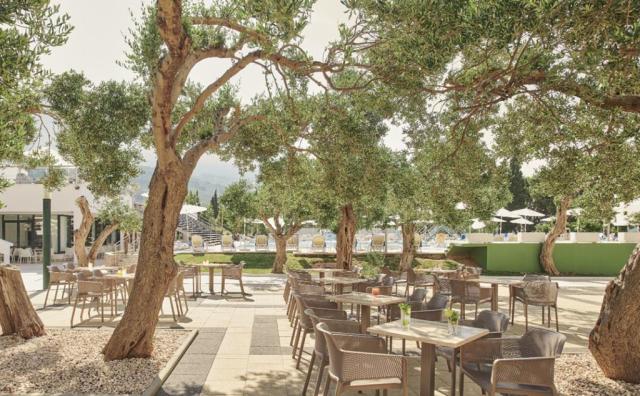 Bluesun Maslinik depandance - Tučepi -  - Chorvatsko