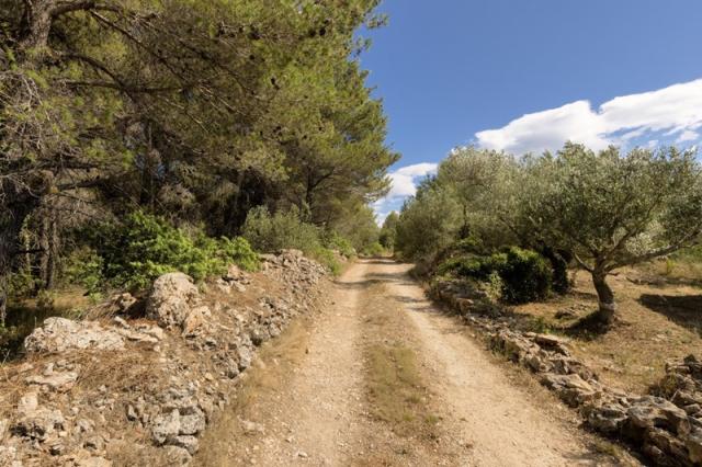 Makarac vila - Milna (ostrov Brač) -  - Chorvatsko