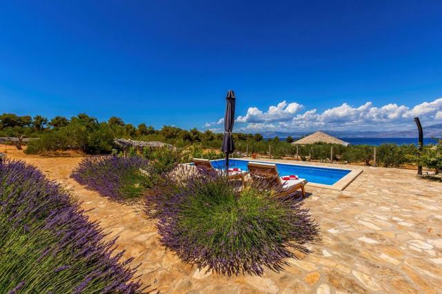 Magical Island Home - Mary studio - Mirca (ostrov Brač) -  - Ch