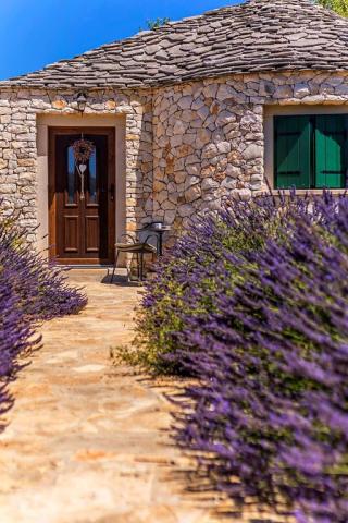 Magical Island Home - Mary studio - Mirca (ostrov Brač) -  - Ch