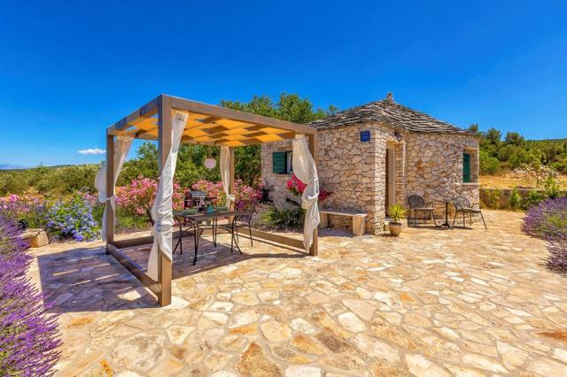 Magical Island Home - Mary studio - Mirca (ostrov Brač) -  - Ch