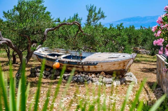 Island Getaway - Mirca Heritage House - Mirca (ostrov Brač) -  