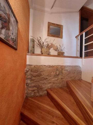 Vicina vila - Milna (ostrov Brač) -  - Chorvatsko