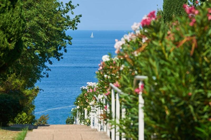 Bellevue apartmány - Poreč - Plava Laguna - - Chorvatsko