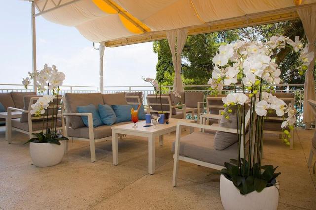 Faraon hotel - bar Cleopatra - Trpanj (Pelješac) -  - Chorvatsk