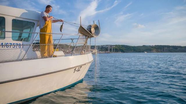 San Simon Resort - Izola -  - Slovinsko