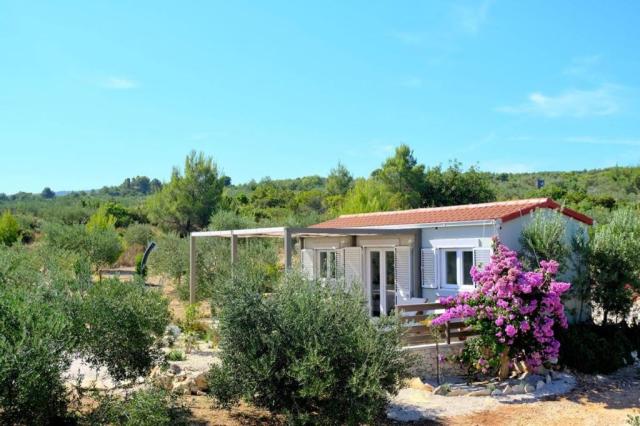 Olive Garden Home - mobil home