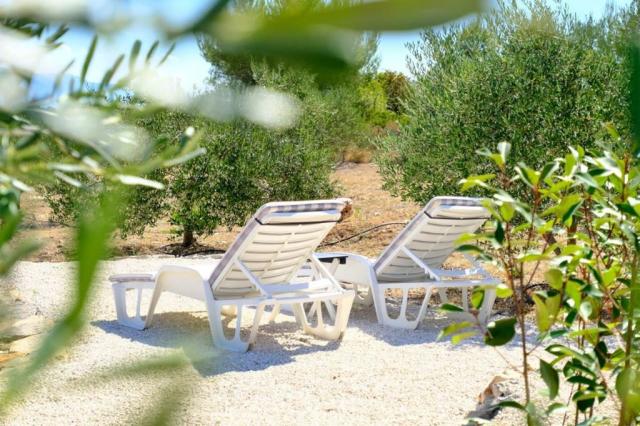 Olive Garden Home - mobil home - Mirca (ostrov Brač) -  - Chorv