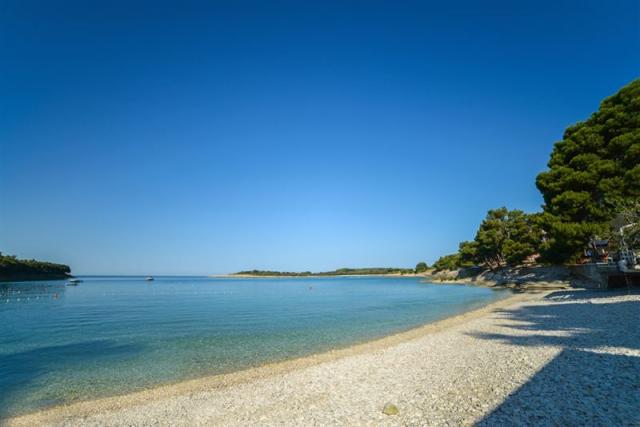Centinera Resort hotel - Banjole -  - Chorvatsko