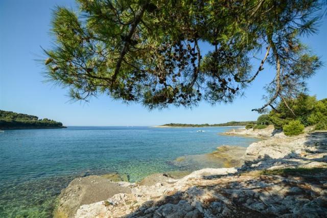 Centinera Resort hotel - Banjole -  - Chorvatsko