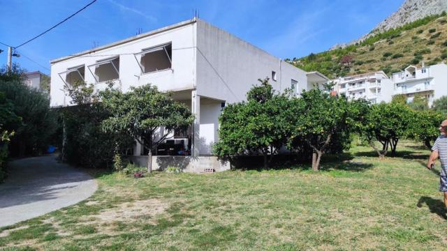 Marin vila