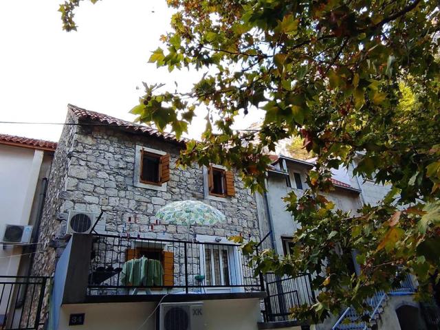 Apartmány Branka