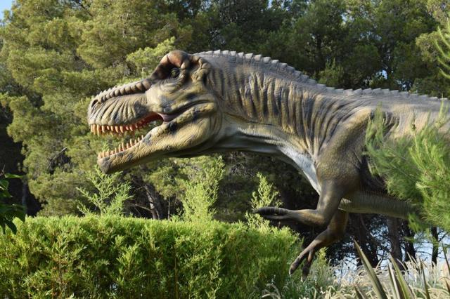 Fun Park Dalmaland - Biograd na Moru (20)