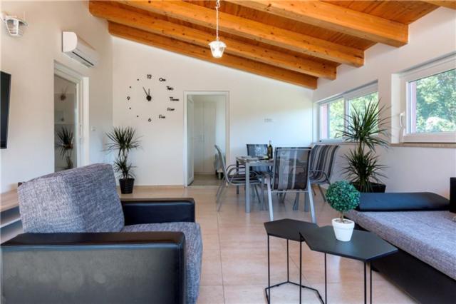 Hana Holiday Home - Banjole -  - Chorvatsko