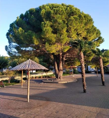 APT Astra - bazén na pobřeží - Zelena Laguna - Poreč -  (4)