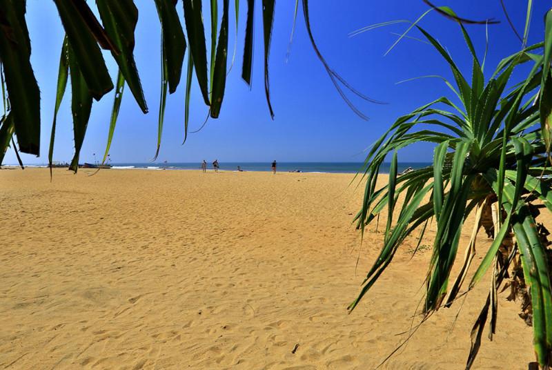 Hibiscus Beach