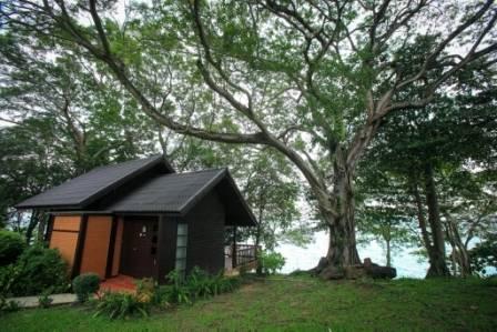 Deluxe Cottage 01.jpg