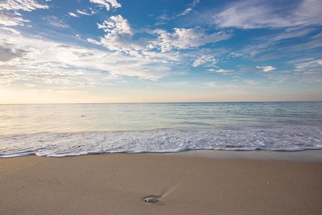 Beach-1 (1).jpg