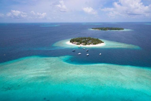 Malahini Kuda Bandos